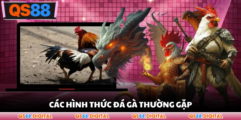 Các hình thức đá gà thường gặp