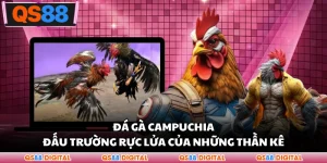 Đá Gà Campuchia - Đấu Trường Rực Lửa Của Những Thần Kê